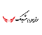 رزین شیک